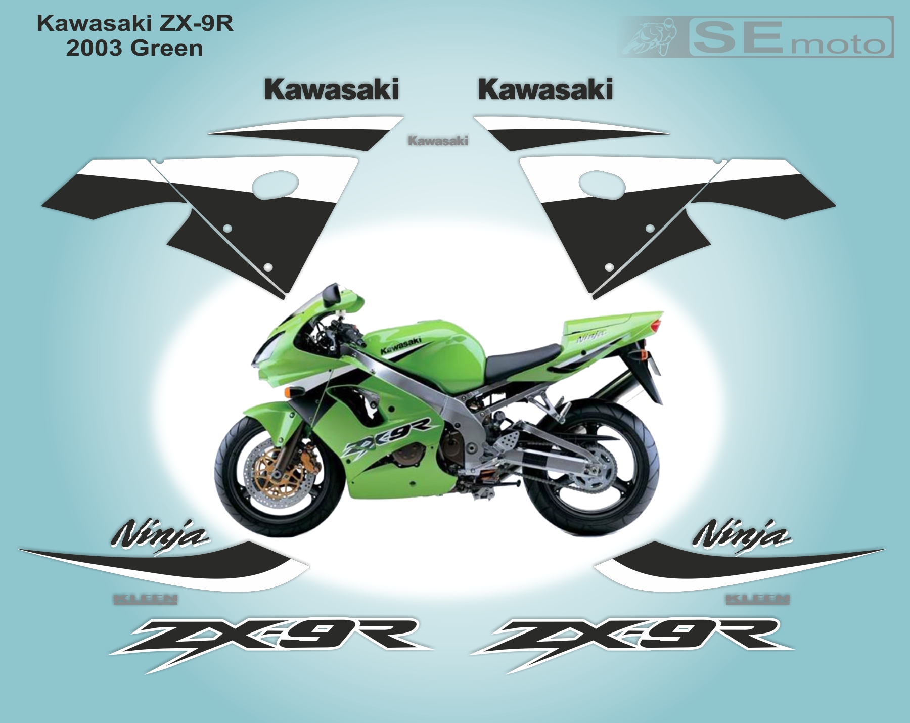 Kawasaki ZX-9R 2003 г. в. Green