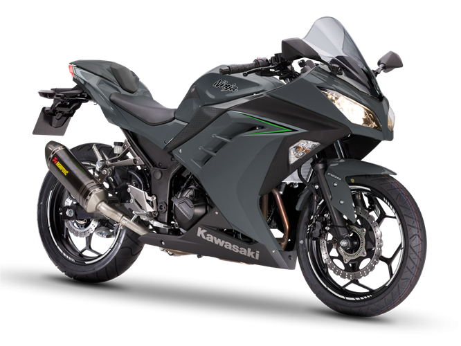 Kawasaki Ninja 300 dark green 2016 - фото