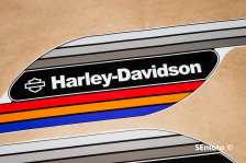 Harley-Davidson Sporster HL1200N - фото3