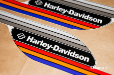 Harley-Davidson Sporster HL1200N - фото4