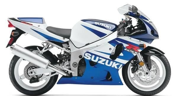 Suzuki GSX-R 600 2002 бело-синий - фото